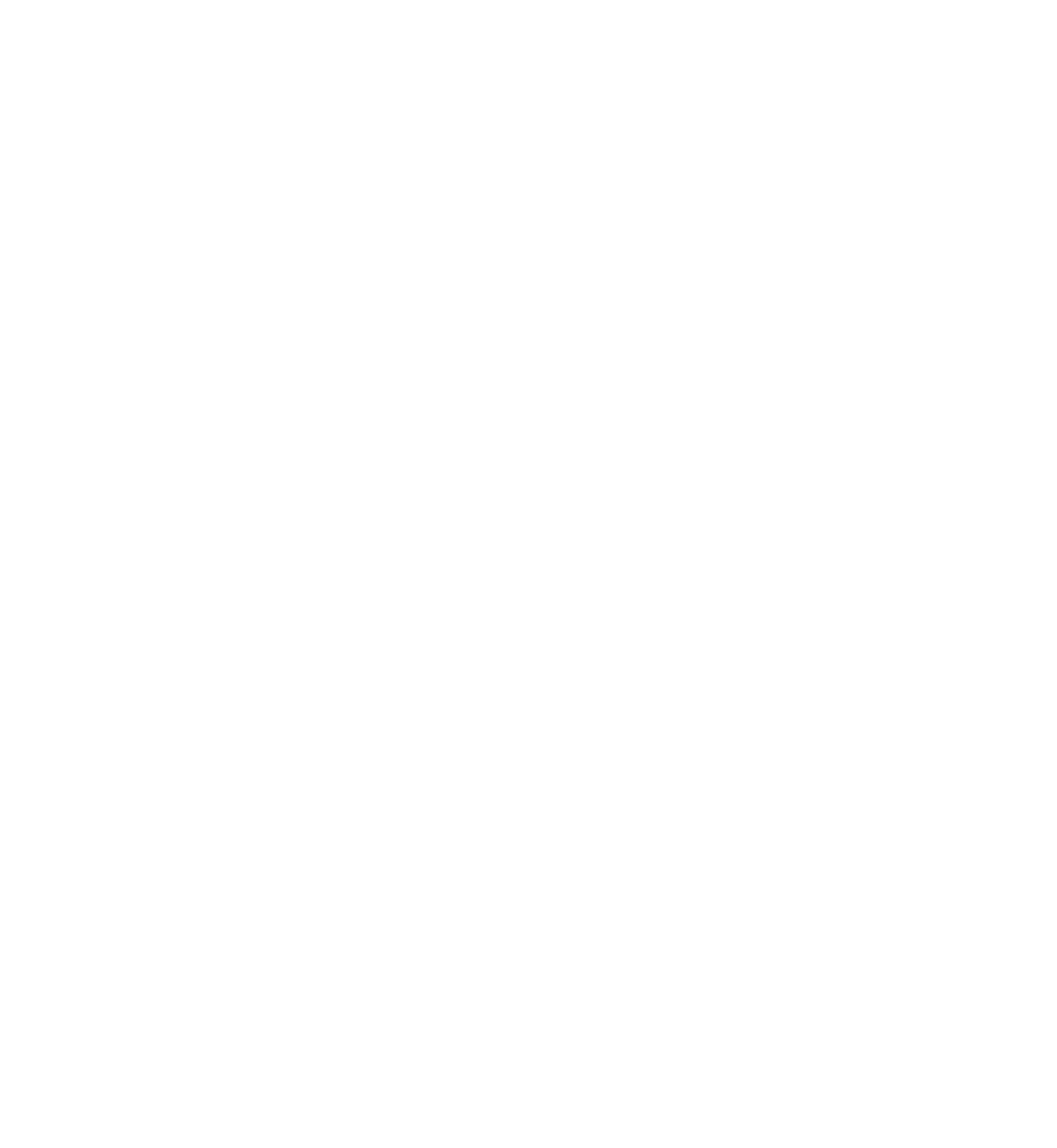 Logo White